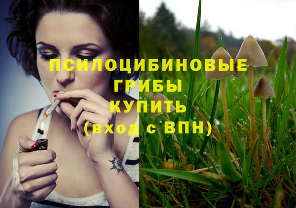 соль курить ск Армянск