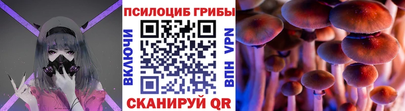 Галлюциногенные грибы Psilocybe как найти закладки это состав Пустошка блэк спрут как войти